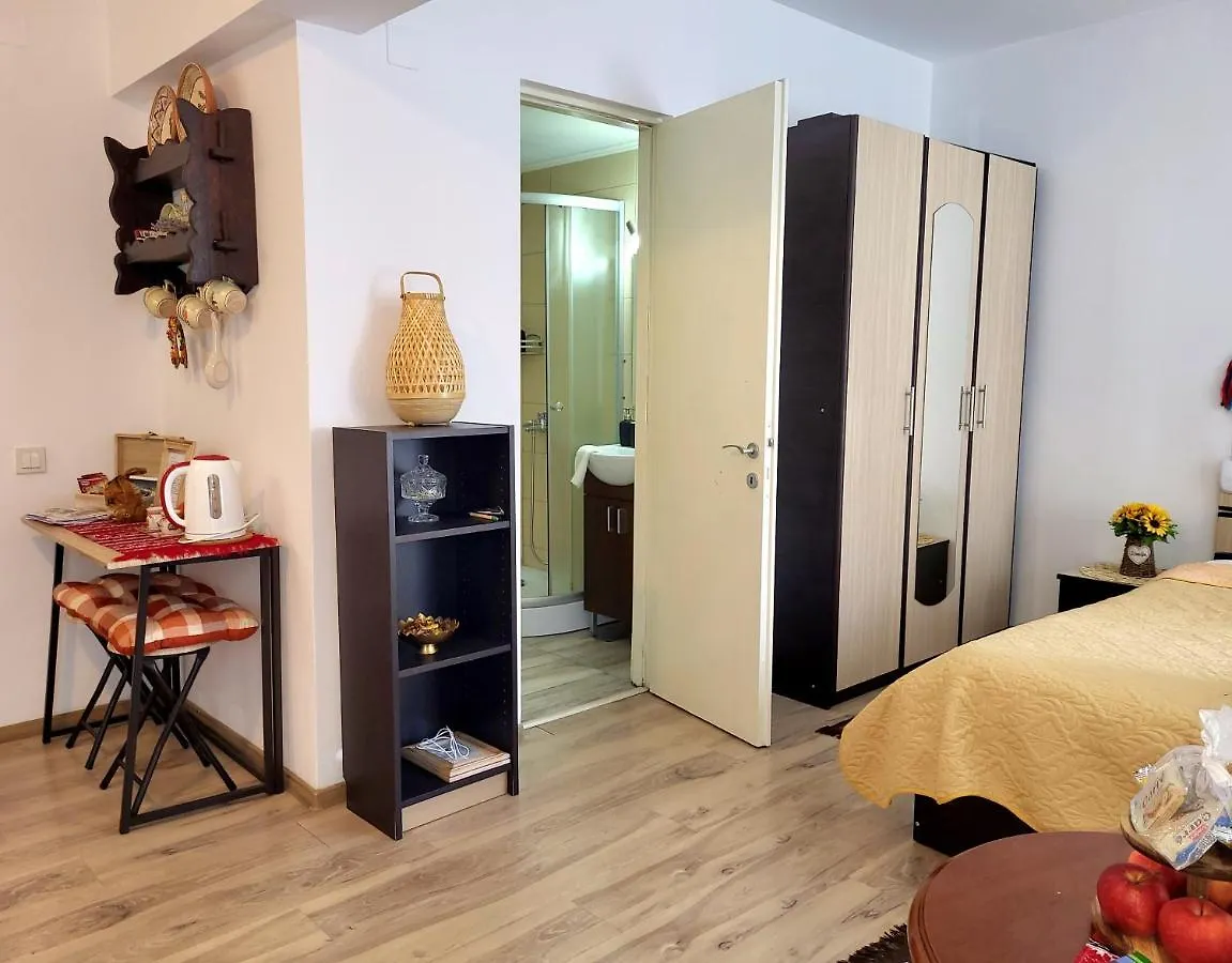 Traditional Romanian Apartments Bukarest